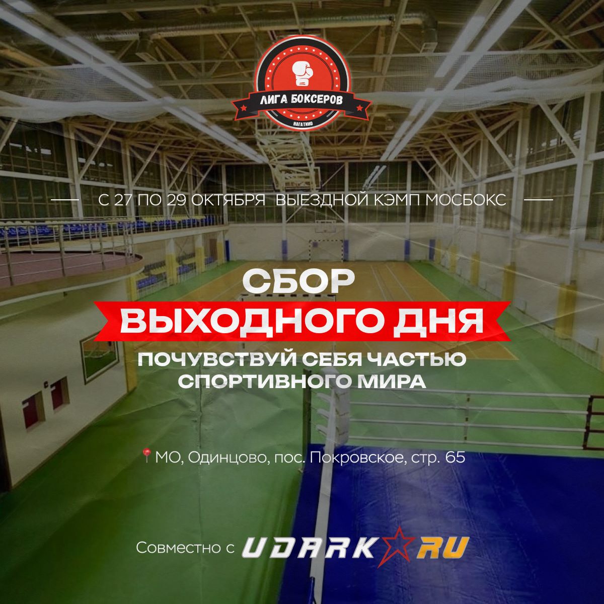 udarka.ru