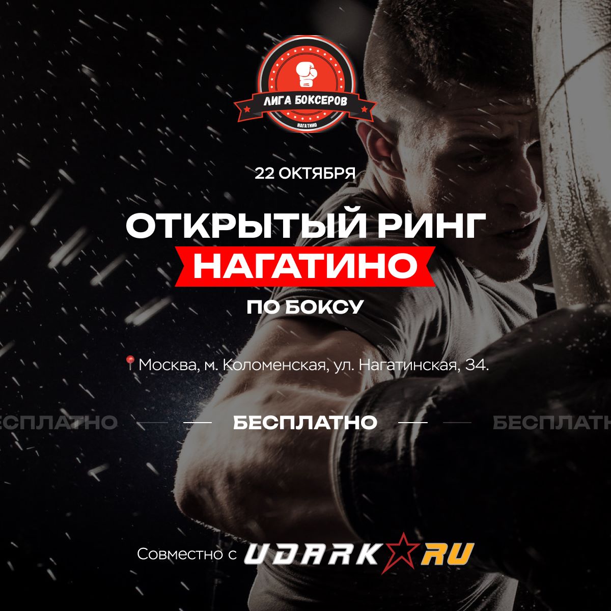 udarka.ru