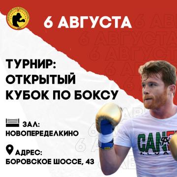 Открытый Кубок по боксу