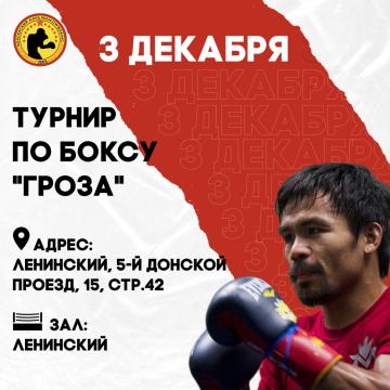 ОТКРЫТЫЙ РИНГ "ГРОЗА"