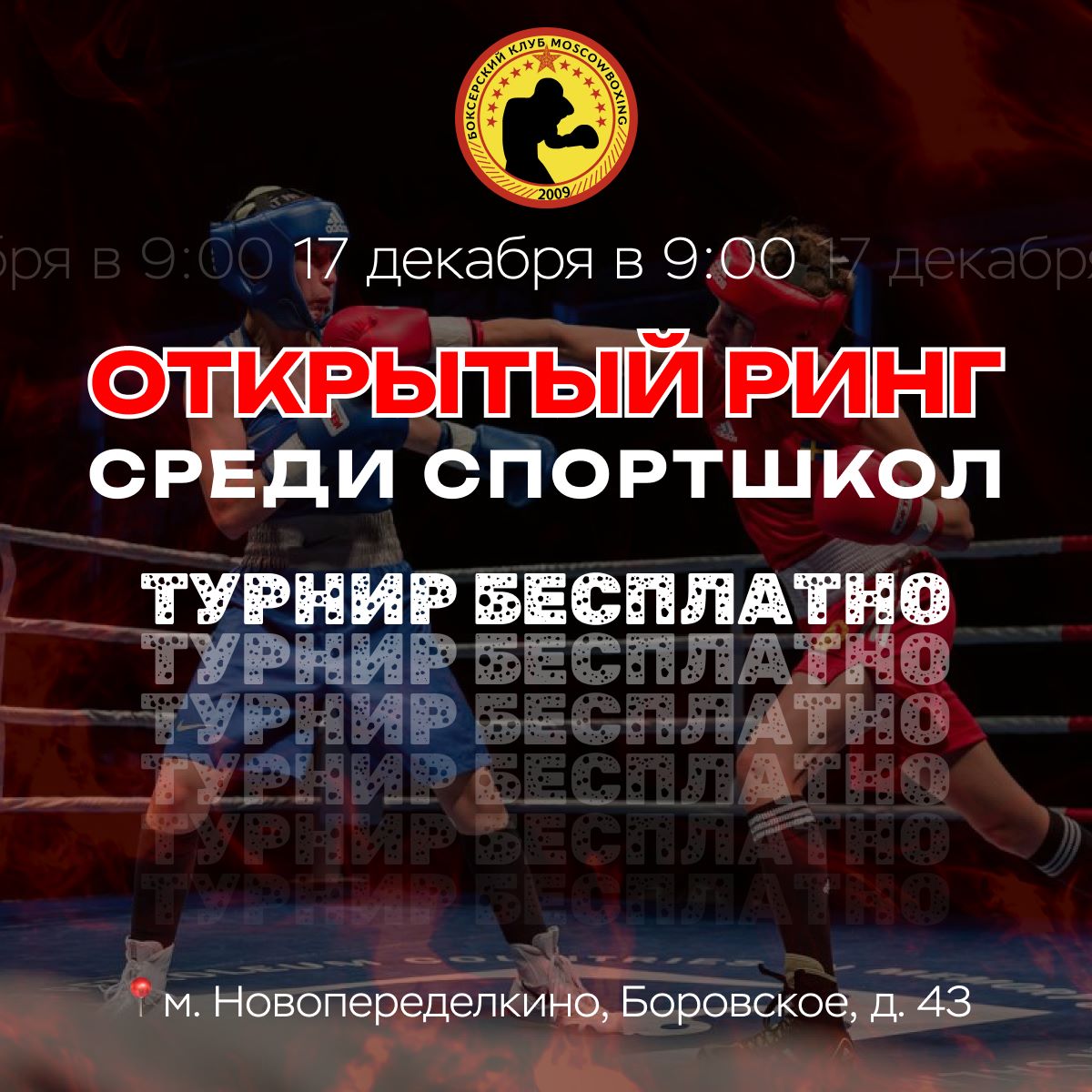 udarka.ru