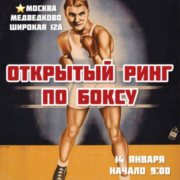 ОТКРЫТЫЙ РИНГ ПО БОКСУ И КИКБОКСИНГУ